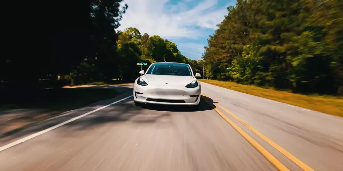 A white Tesla being driven on a tree-lined road towards the camera