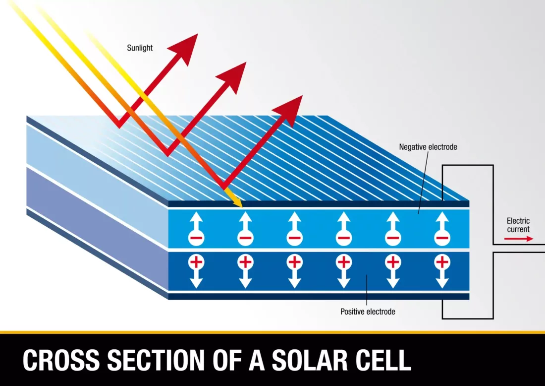 Solar Cell Cross Slice