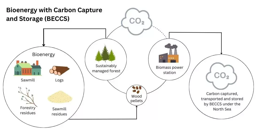 Bioenergy with Carbon Capture and Storage (BECCS)
